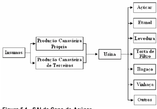 Figura 5.1 - SAI da Cana-de-Açúcar.