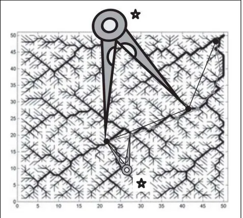 Figura 2.2 Representação padrões dendríticos como o de “drenagem” hídrica destacando a  auto-similaridade entre estruturas em diferentes escalas
