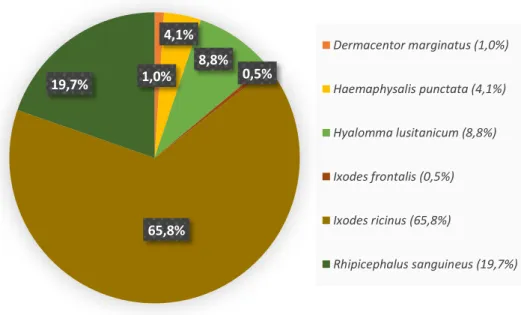 Figura 3 . 1: Distribuição da população de ixodídeos recolhida da vegetação de acordo com as suas espécies .