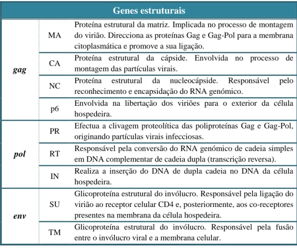 Tabela 1. Descrição das funções das proteínas do HIV-1 codificadas pelos genes estruturais.