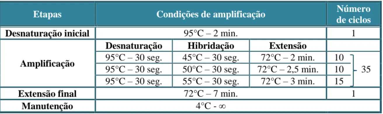Tabela 6. Condições de amplificação aplicadas na primeira PCR. 