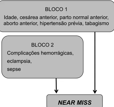 Figura 1 – Hierarquização das variáveis. 