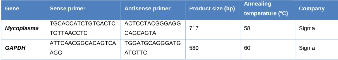 Table 1: Oligonucleotides used for mycoplasma detection. 