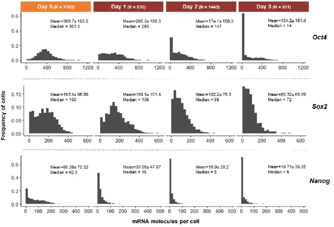 Figure 5- Histograms of the distribution of Oct4, Sox2 and Nanog mRNA molecules per cell, for 46C cells fixed at different  time  points