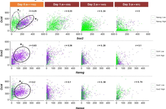 Figure 6- Two-colour dot plot graphs showing the correlations between the number of mRNA molecules of Sox2, Oct4 and Nanog  at different experimental days