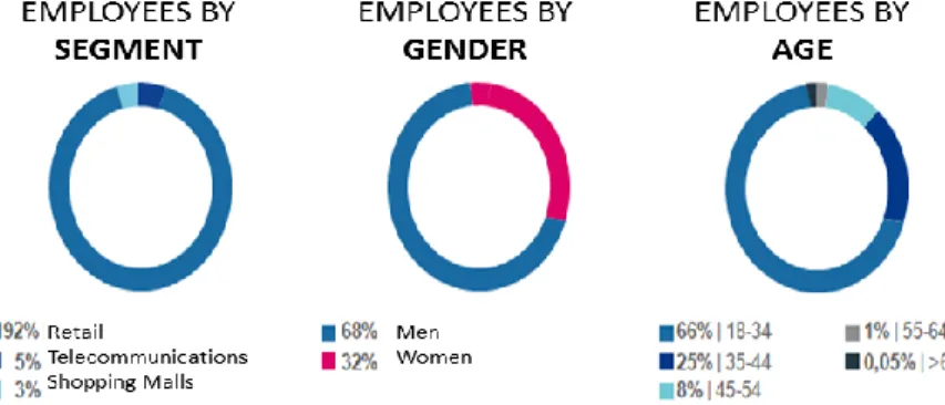 Figure 3: Characterization of the Human Capital  Source: Adapted from the Institutional Presentation 