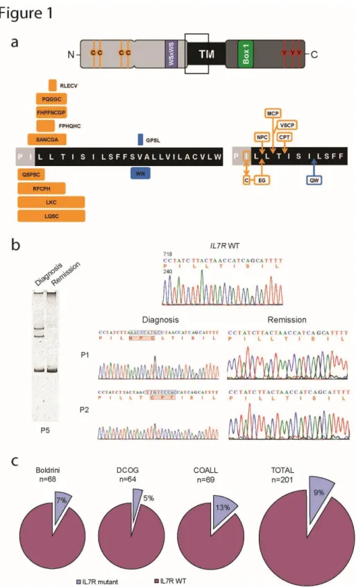 Figure 1. IL7R exon 6 somatic mutations in pediatric T-ALL. (a) Scheme of IL-7Rα protein (top)  and  predicted  amino  acid  alterations  (bottom)