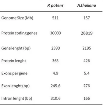 Table 2. Genome comparison between P. patens and A. thaliana from TAIR database  (www.arabidopsis.org)
