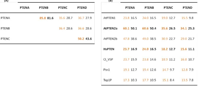 Table 5. Sequence comparison between (A) PpPTENs and (B) between PTEN homologues. Orange - % similarity; 