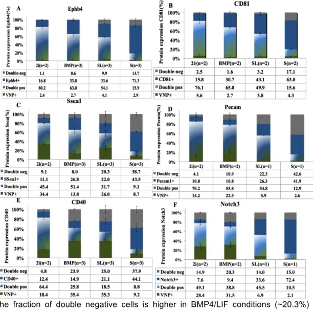 Figure 8: Co-expression of Nanog:VNP with several surface proteins in Nd cells grown in  different  culture  media.Nd  ESCs  were  grown  for  48h  in  2i/LIF  (2i),  BMP4/LIF  (BMP),  Serum/LIF  (SL)  or  Serum  alone  (S)  and  the  expression  of  the  