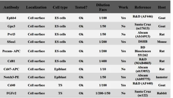 Table  2:  Panel  of  differents  antibodies  against  ESC  surface  markers,  used  in  the  experiments described in this thesis.This table describe the antibody dilution ,cell specificity,  which  antibodies  works,  catalogue  number  and  animal  in  