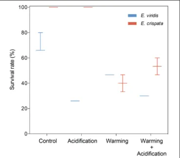 FIGURE 1 | Effects of ocean warming and acidification on survival (%) of tropical E. crispata and temperate E