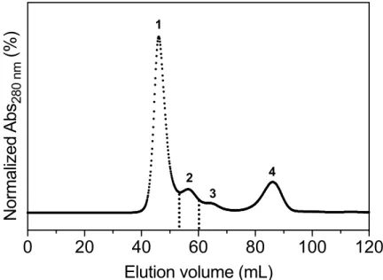 FIGURE IV.2. Chromatographic profile of recombinant MBP-hPAH-G46S variant, obtained by  size  exclusion  chromatography  (SEC)