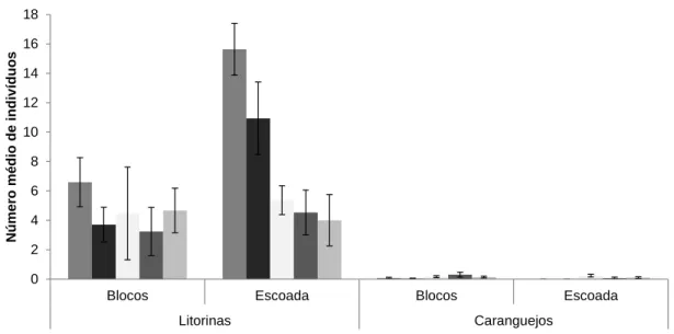 Figura 5 – Número médio de indivíduos dos grupos funcionais menos abundantes (litorinas e caranguejos) ao longo do  tempo de amostragem em cada habitat (bloco e escoada) e respectivo erro-padrão