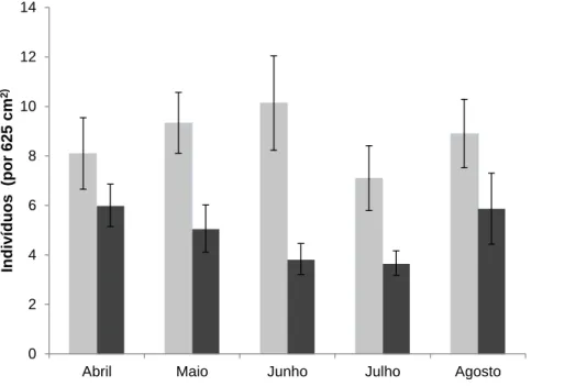 Figura  7  –  Número  médio  de  indivíduos  de  P.  candei  em  cada  habitat  (blocos  e  escoada)  ao  longo  do  tempo  de  amostragem e respectivo erro-padrão
