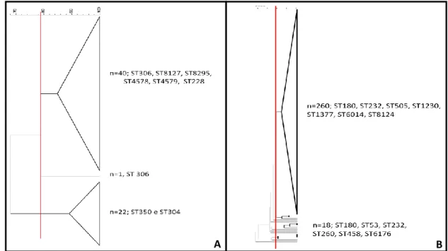 Figura 8 A e B: Dendrograma simplificado  construído  com base nos perfis de macrorestrição, obtidos  por  PFGE, das estirpes de  serotipo 1 (Figura A) e das estirpes de serotipo 3 (Figura B), isoladas de infeção invasiva, entre 1999 e 2009