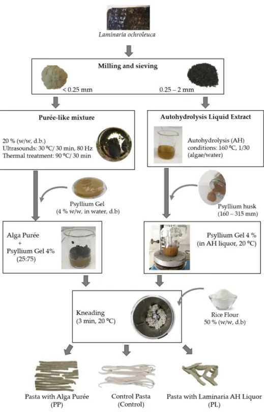 Figure 1. Schematic procedure of pasta preparation. dry basis: (d.b.) 