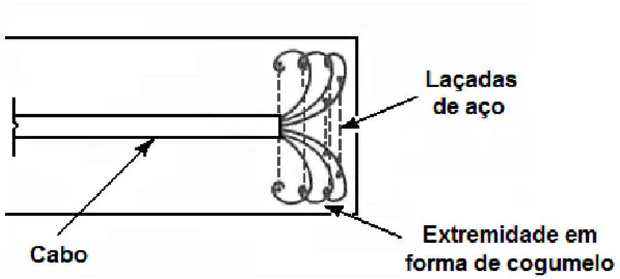 Fig. 1.9 – Extremidade passiva em forma de cogumelo, adaptado de Chi e Biberstein (1963)