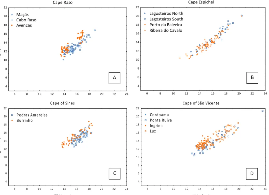 Fig. 9. Results from the ANCOVA on the variation of width and height of shells, comparing Northern (blue) and Southern (orange) populations of P