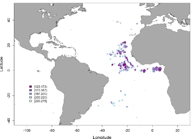 Figure 2.3- Location and size distribution (FL, cm) of the smooth hammerhead shark, Sphyrna zygaena, recorded for this study  between 2006 and 2015