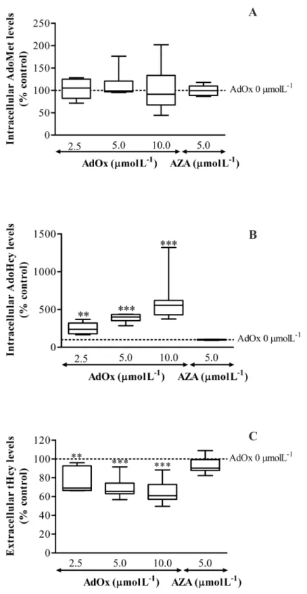 Figure 1 – Incubation of HUVEC with AdOx, an inhibitor of AdoHcy hydrolase, induces intracellular AdoHcy  accumulation and lowers tHcy production