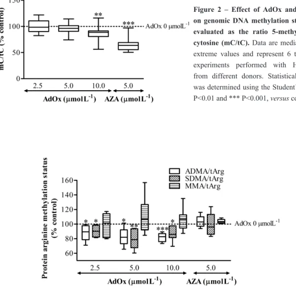 Figure 3 – Effect of AdOx and AZA treatment on protein arginine methylation  status in HUVEC, evaluated as the ratios of dimethylated arginine residues / total  arginine  in  protein  hydrolysates  ,  after  24  hours  of  incubation,  in  the  absence  an