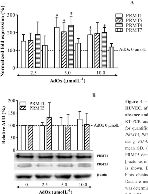 Figure  4  –  Relative  PRMTs  expression  in  HUVEC, after 24 hours of incubation, in the  absence and presence of AdOx