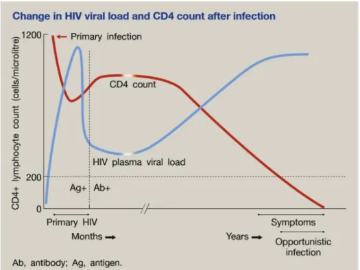 Figura 2: Carga viral do HIV-1 versus número de células CD4+. Adaptado de (1) 