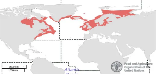 Figura 2.4 - Distribuição geográfica da espécie Gadus morhua. (Fonte: Cohen et al. 1990) 