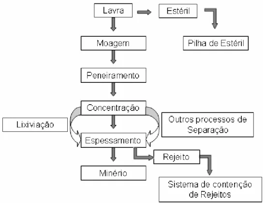 Figura 2.2 - Esquema geral do processo de beneficiamento do minério bruto (modificado -  Santos 2004)