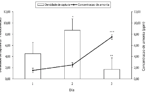Figura 3.  Diferenças entre a densidade de captura de tatuíra e concentração de amônia  durante os três dias de estudo (25 a 27 de maio de 2005) na praia de Bombinhas, SC