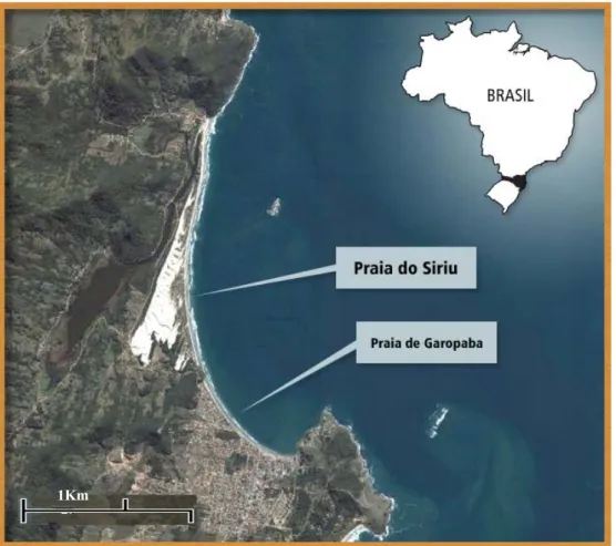 Figura 8. Localização das praias de Siriú (S 28° 01’ 001’’ e W 48° 37’) e Garopaba  (573’’ S 28° 01’ 001’’ e W 48° 37’  573’’) no estado de Santa Catarina (Fonte: 
