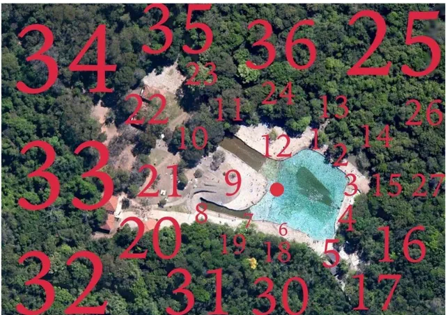 Figura  3.  Áreas  de  coleta  de  dados  na  piscina  Pedreira  e  na  mata  que  a  circunda