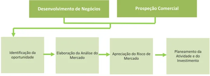 Figura 10- Fluxograma do Processo de Desenvolvimentos de mercados (Adaptado de entrevista a uma das  empresas)