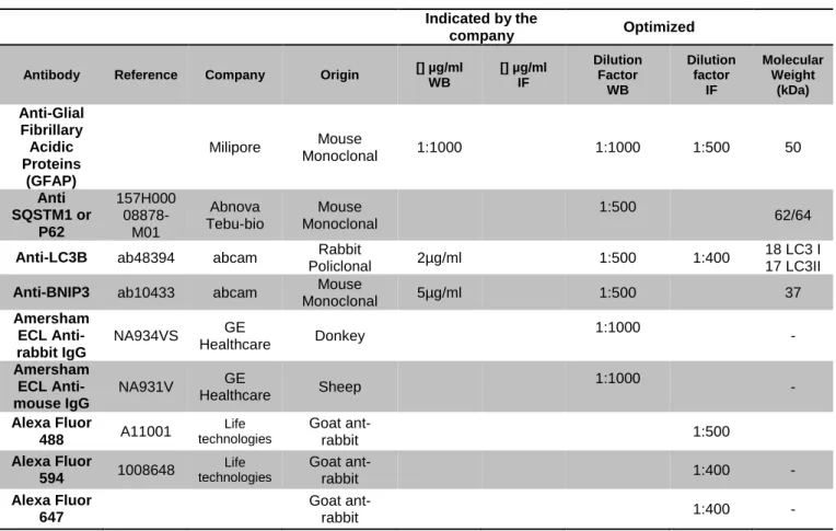 Table 4.3 - Description of conditions and features of the used antibodies. 