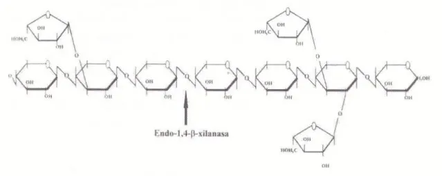 Figura 4: Estrutura química dos ar abinoxilanos presentes no trigo (Retirado de  Francesch, 1996) 