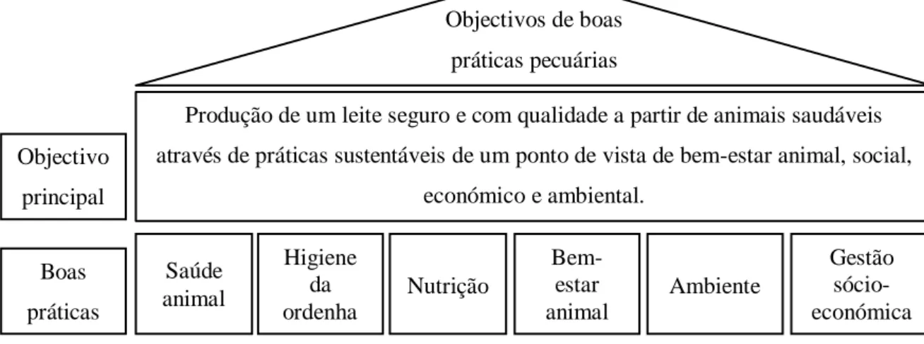 Figura 1 – Resumo do obectivo principal de uma exploração leiteira e aspectos sobre os quais se  devem aplicar boas práticas de produção (adaptado de FAO &amp; IDF, 2011)