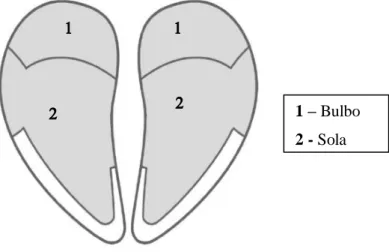 Figura 3 – Esquema da extremidade distal de um membro de bovino, evidenciando  a divisão entre sola e bulbo (adaptado de Greenough, 2007, pág.245) 