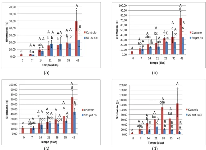Figura  10  -  Variação  média  da  biomassa  (g)  de  plantas  controlo  e  contaminadas  por  rega  com  solução contendo 50 µM de Cd (a), 50 µM de As (b), 100 µM de Cu (c) e 25 mM de NaCl (d) durante  42 dias.