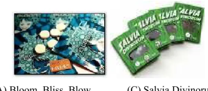 Figure 1 – Example of NPS sold in Portugal in smartshops and online (from 2007 until 2013)      