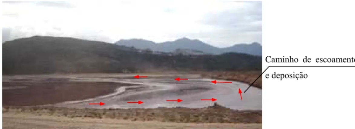 Figura 3.11: Geometria típica do processo de deposição da lama na BS3, da UIG / Samarco