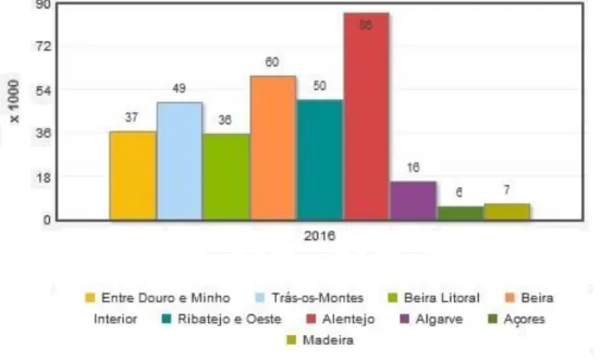 Gráfico 3 – Efetivo caprino por localização geográfica (Adaptado - INE, 2017) 