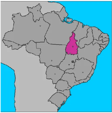 Figura 1: Mapa do Estado do Tocantins 
