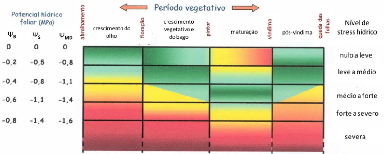 Figura  1  -  Estados  hídricos  óptimos  (zonas  em  verde),  desfavoráveis  (zonas  em  amarelo)  ou  prejudiciais (zonas em vermelho) em função do período vegetativo da videira