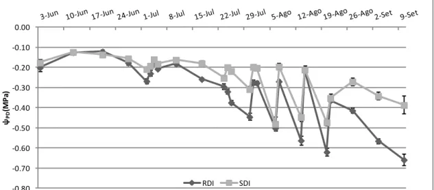 Figura 8 - Evolução sazonal do potencial hídrico foliar de base (Ψ PD ), nos 2 tratamentos de rega (SDI  e RDI)