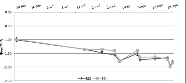 Figura 10 - Evolução sazonal do potencial hídrico foliar mínimo  (Ψ MD ), nos dois tratamentos de rega  (SDI e RDI)