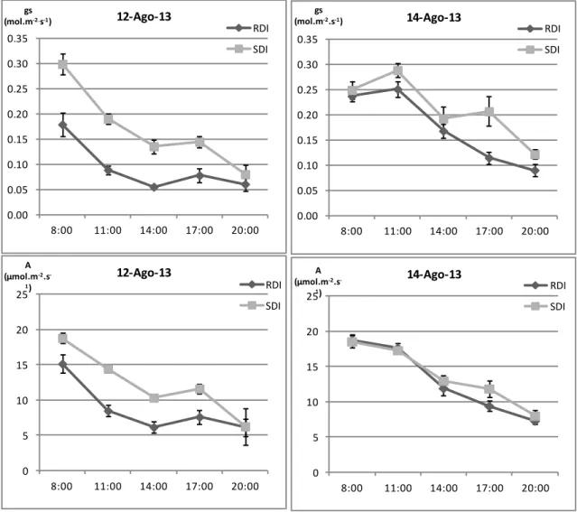 Figura 12 – Evolução diurna da condutância estomática (g s ) e taxa de assimilação líquida de CO 2  (A),   antes  e  após  rega,  nos  dois  tratamentos  de  rega  (SDI  e  RDI)