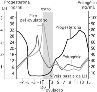 Gráfico  1  -  Perfil endócrino durante o ciclo éstrico das porcas (adaptado de Ptaszynska,  2007)