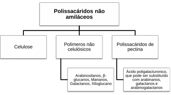 Figura 15 – Principais grupos que compõem os polissacáridos não amiláceos  