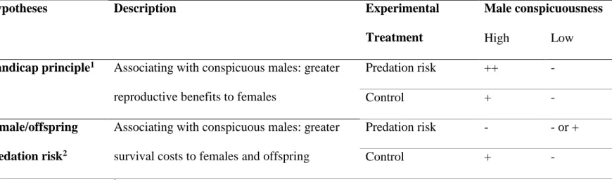 Table 1: Summary of hypotheses tested in this study and their predicted female mate preference outcomes